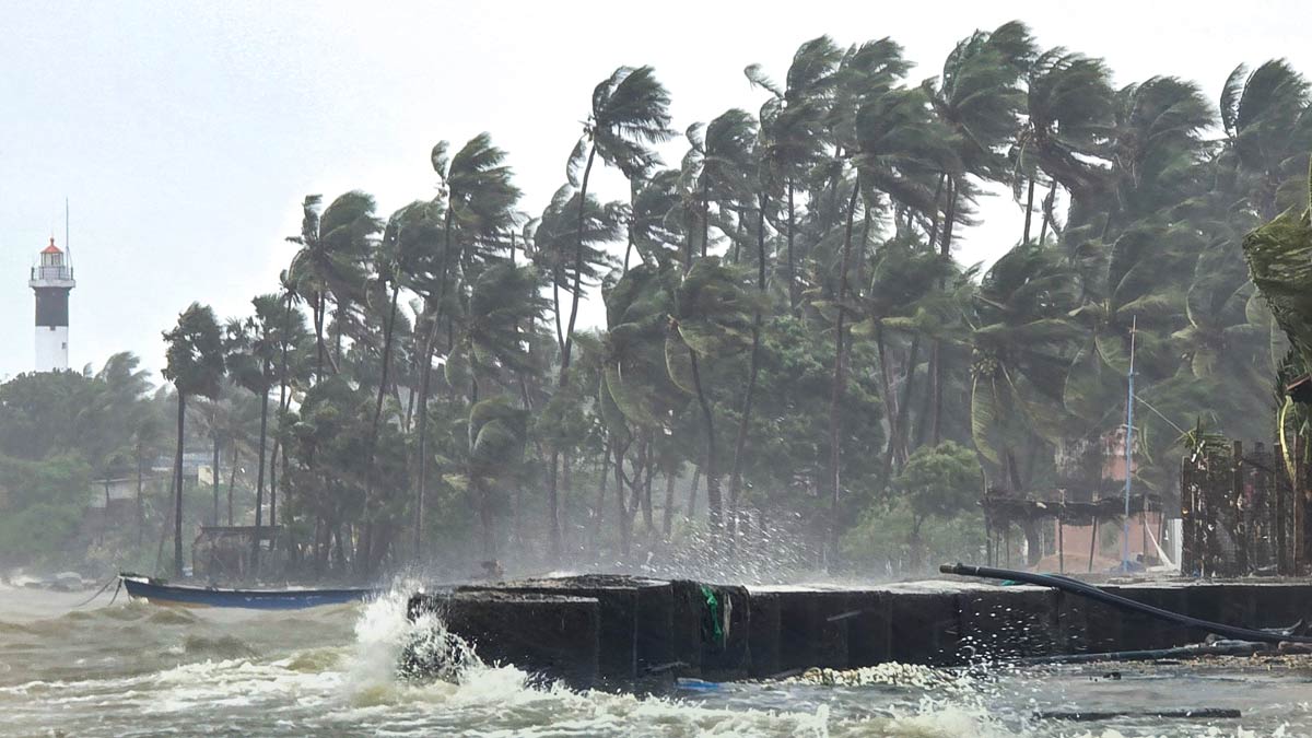 ঘূর্ণিঝড় দিত্বহা: তামিলনাড়ুর উপকূলীয় জেলাগুলিতে রেড অ্যালার্ট; স্কুল বন্ধ ঘূর্ণিঝড় দিত্বহা: তামিলনাড়ুর উপকূলীয় জেলাগুলিতে রেড অ্যালার্ট; স্কুল বন্ধ