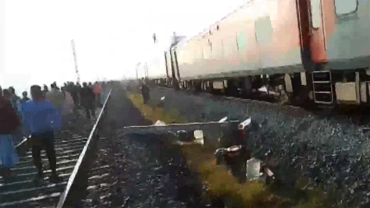 8 elephants killed after being hit by Rajdhani Express in Assam; 5 ...