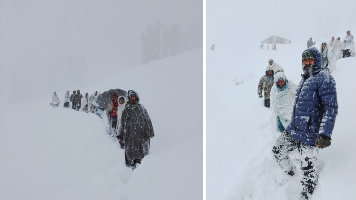 WATCH | Udhampur police rescue 12 stranded persons from heavy snowfall in J&K