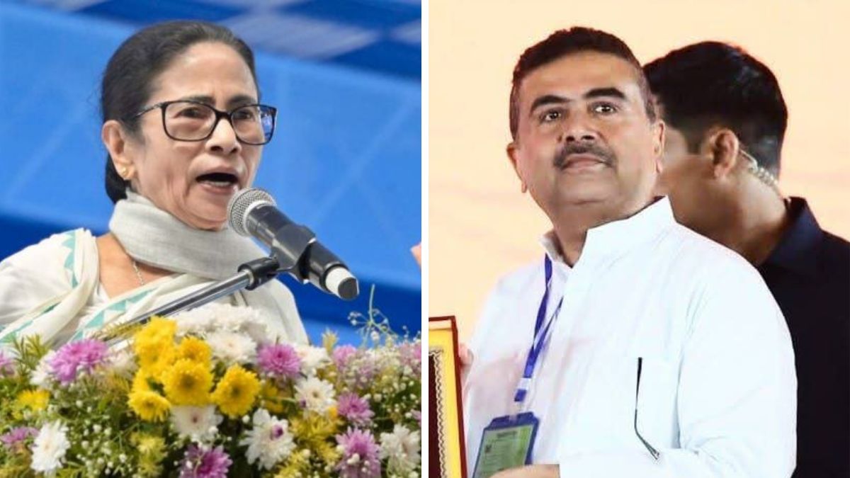 Who will win West Bengal Assembly elections? This is what opinion polls say about TMC vs BJP fight 