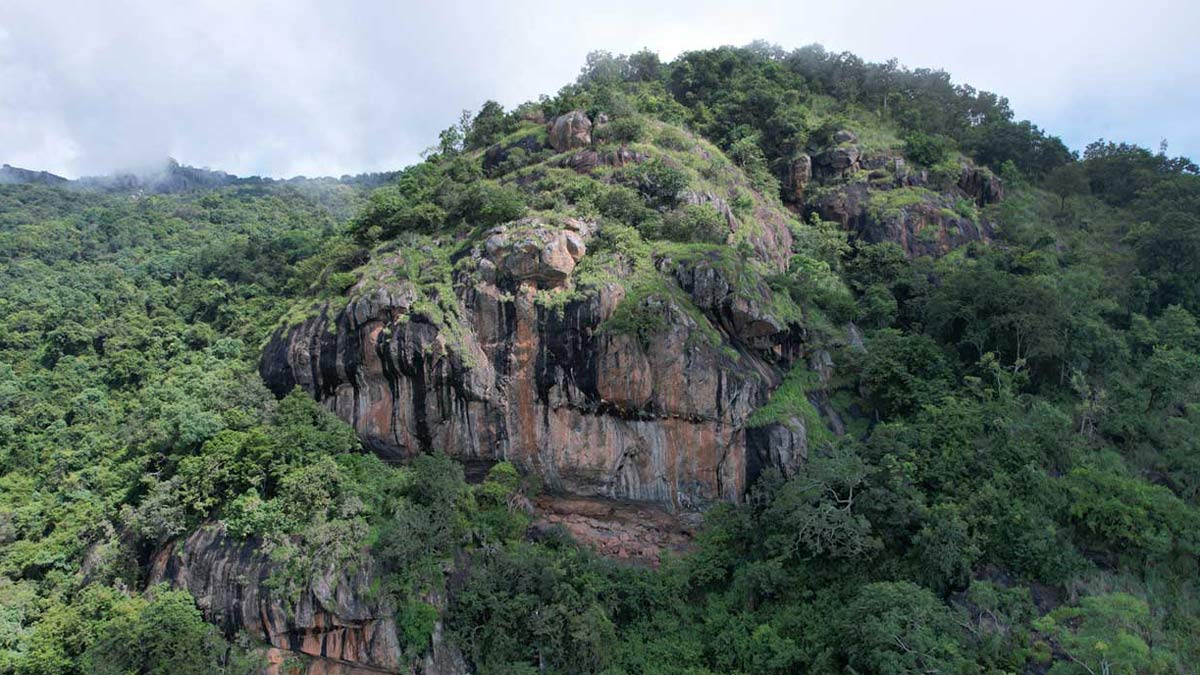 Centre’s new biodiversity push in Tamil Nadu, Meghalaya focuses on grassroots