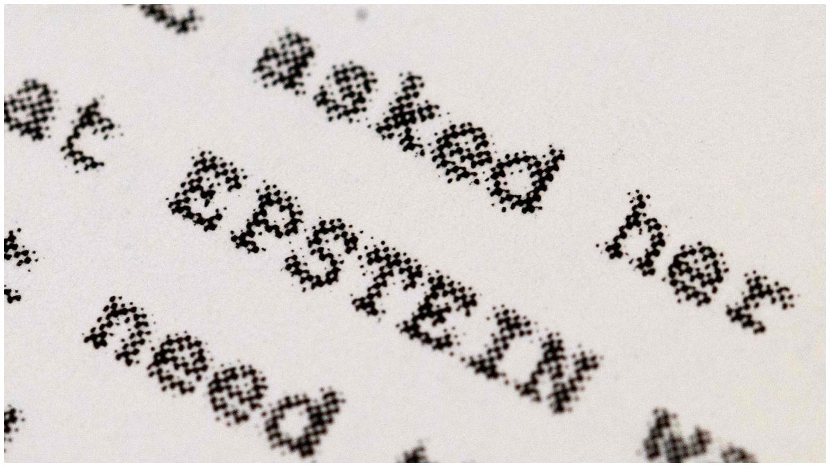 OPINION | From Haram to Epstein’s private estate: The Kiswa, sacred space, and the crisis of spatial sanctity