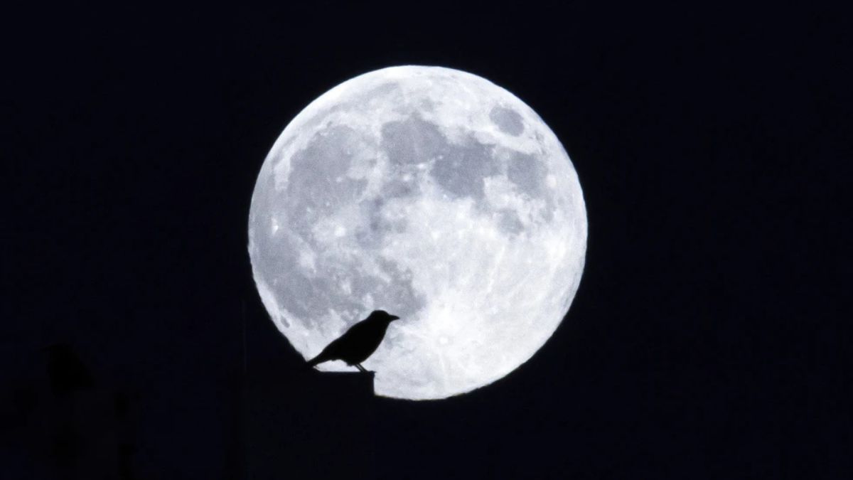 चंद्रमा लॉन्चपैड और गंतव्य दोनों है: चंद्र मिशन पर मायलस्वामी अन्नादुरई | साक्षात्कार