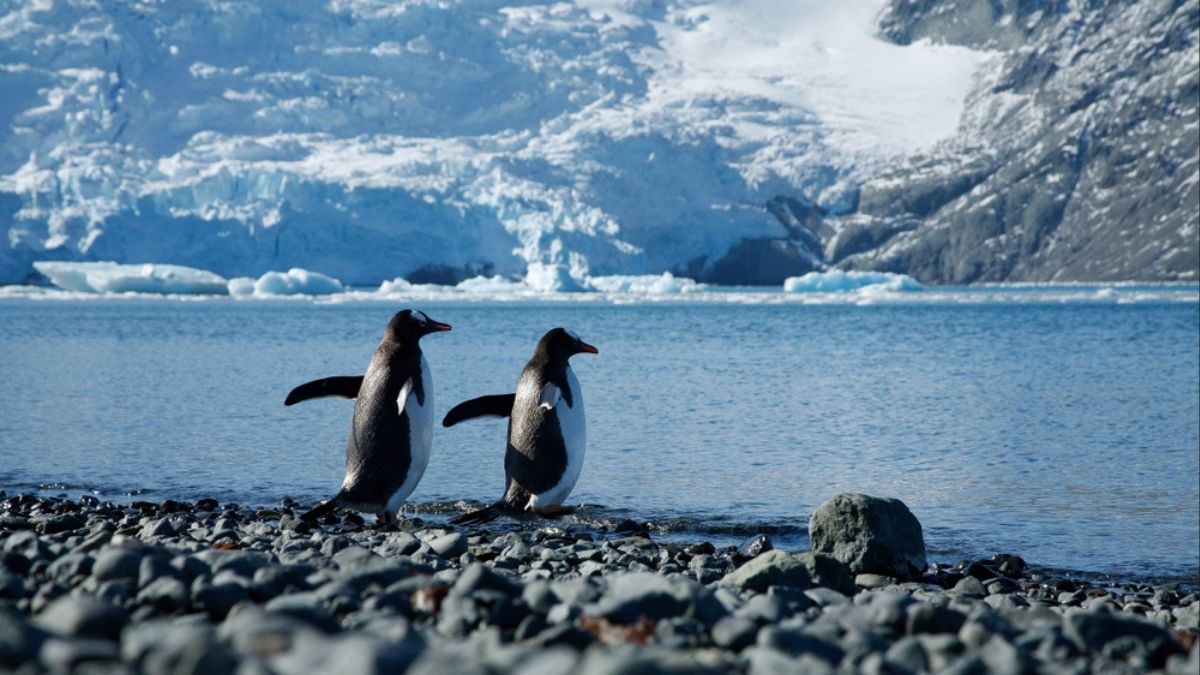 World Earth Day 2026: An ISRO scientist who helped build India’s Antarctic base wants to tell you about it