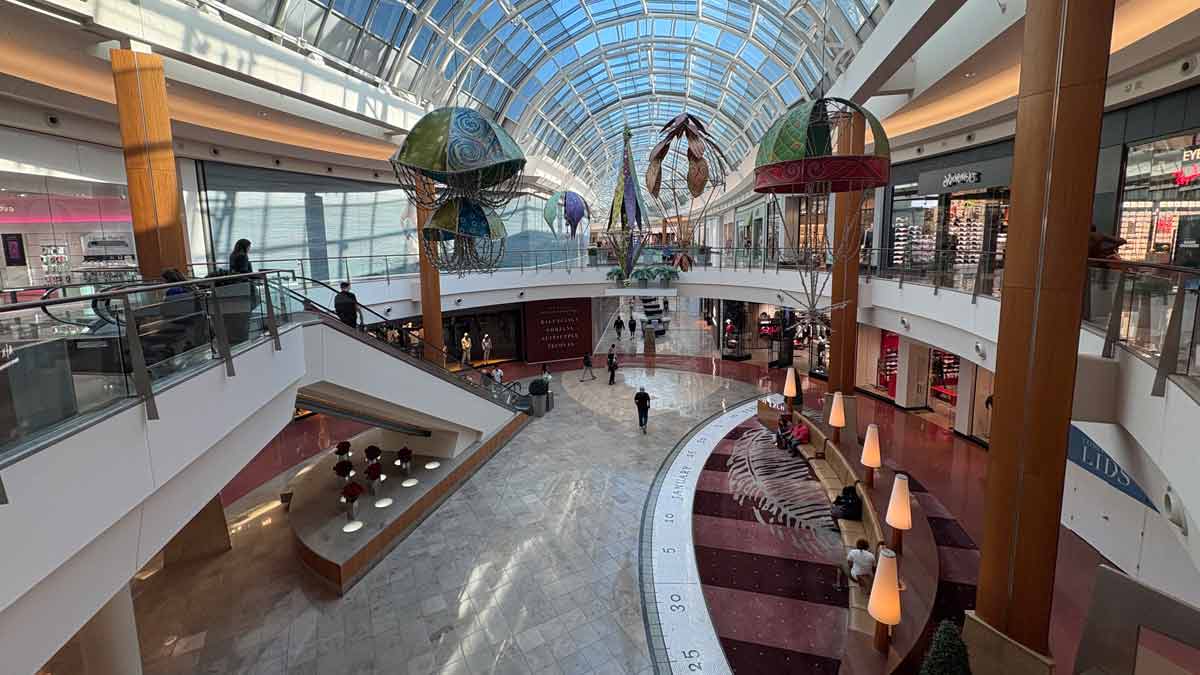 From gators to grandeur: The ultimate Kissimmee travel guide