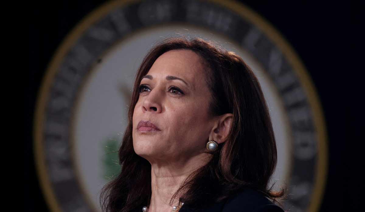 Democrats rally around Kamala Harris after Biden's endorsement; Trump reacts 