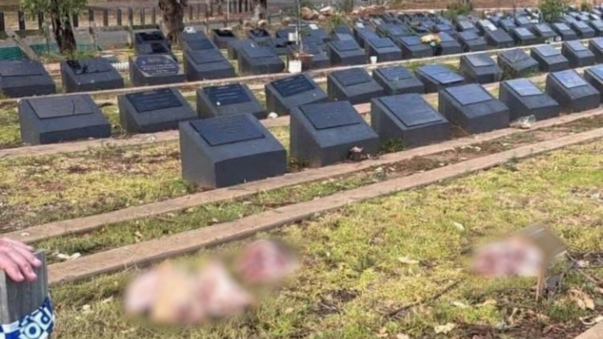 Decapitated pig heads dumped in Muslim cemetery in Australia after Bondi Beach massacre