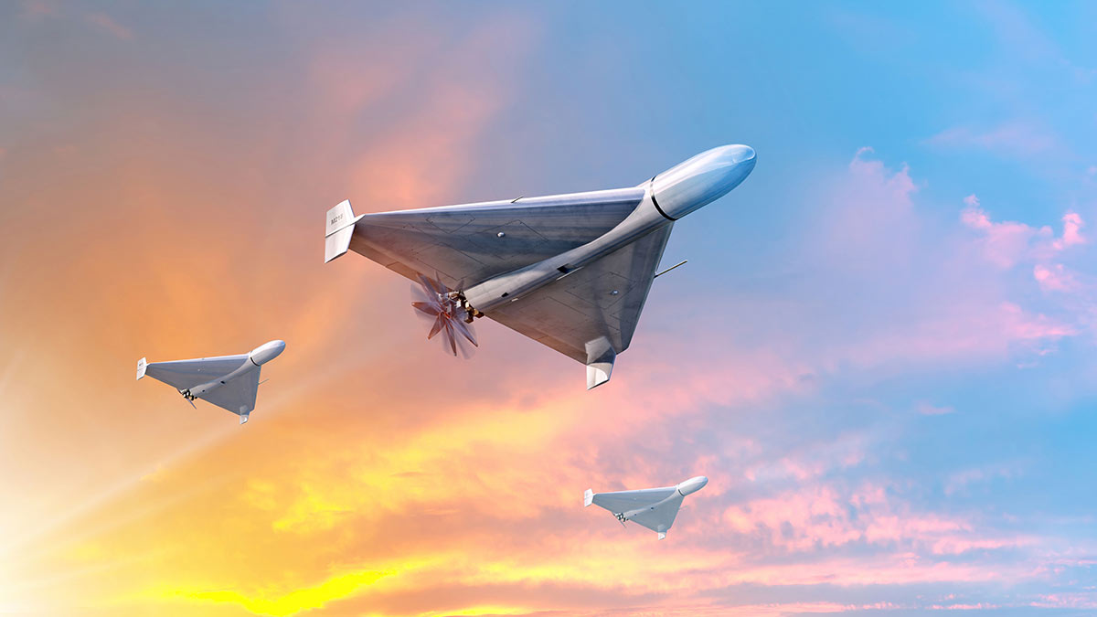 Assam faces rising bee sting deaths, doctor warns of neglected health crisis | Quick Digest